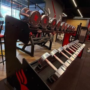 Halteres & Dumbells Cromados