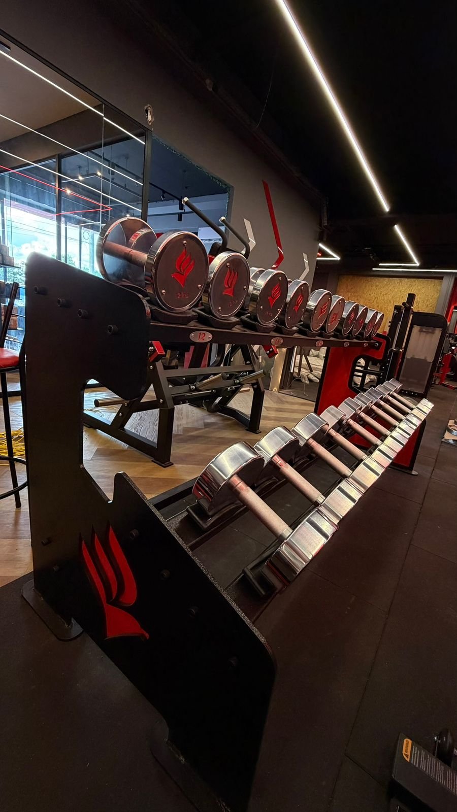 Halteres & Dumbells Cromados